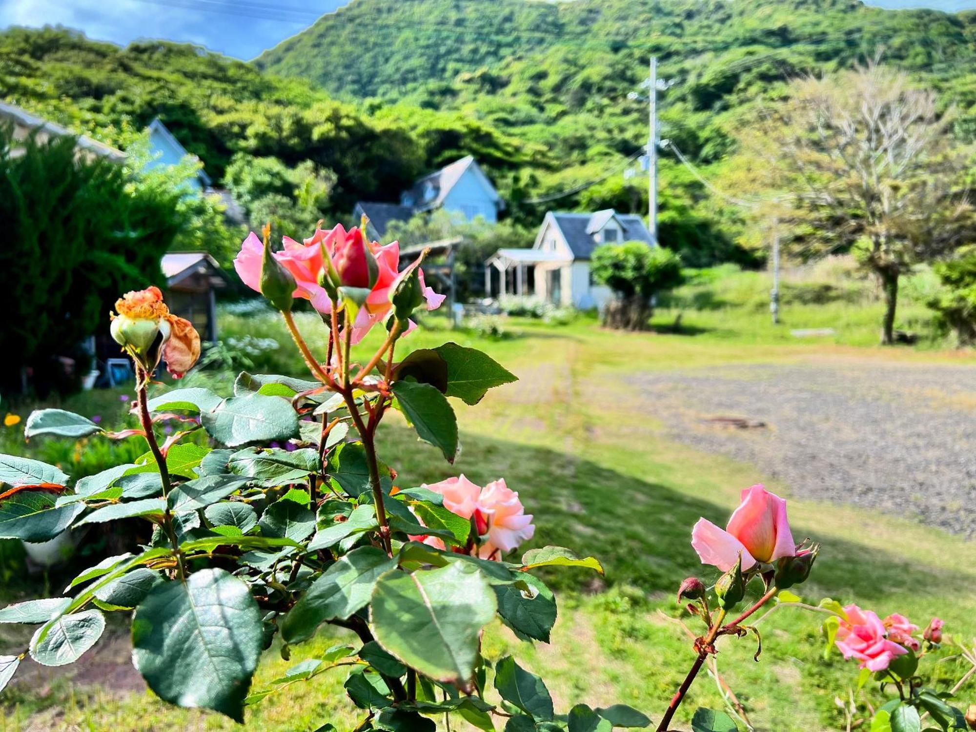 レンタルコテージサントロペ Kyotango Buitenkant foto