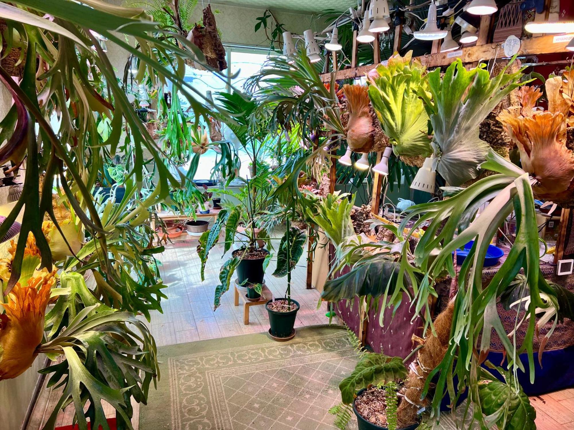 レンタルコテージサントロペ Kyotango Buitenkant foto