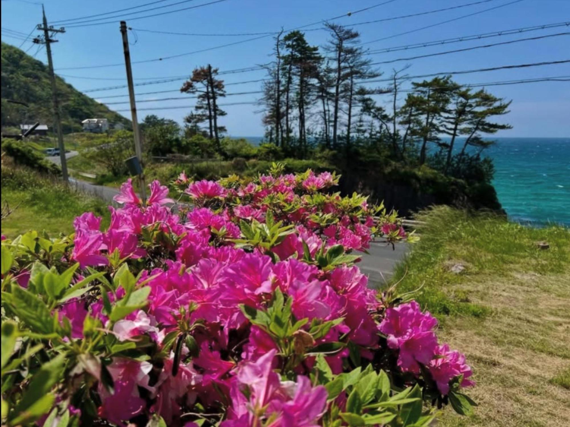 レンタルコテージサントロペ Kyotango Buitenkant foto