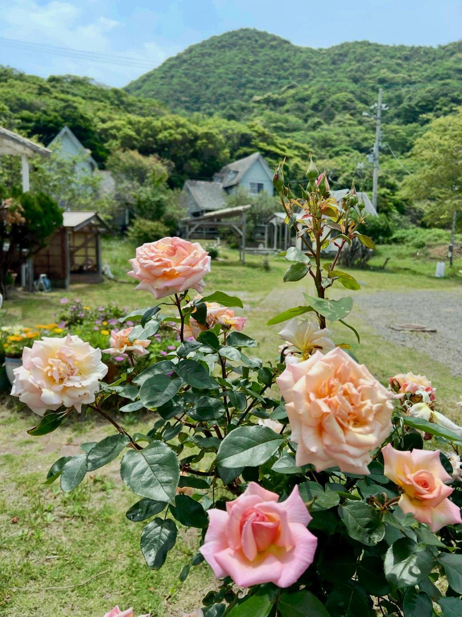 レンタルコテージサントロペ Kyotango Buitenkant foto
